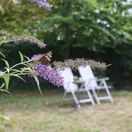 Vakantiehuis Villaatje Veluwe *